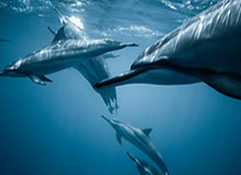 云开体育官网入口-华体会入口：开启安全与乐趣并行的体育新体验