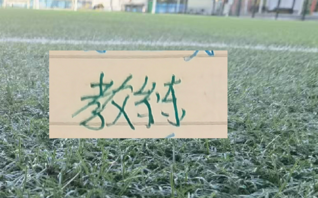 云开体育-2025赛季北京国安的塞蒂恩+拉米罗 算是成功的吗？